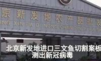 砧板刀具竟然是隱藏&ldquo;殺手&rdquo;？是時候擁有一個&ldquo;它&rdquo;了