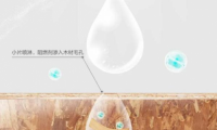 千年舟阻燃板全新?lián)Q代升級(jí)，守護(hù)生命的阻燃衛(wèi)士