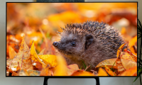 TCL C11G Pro換代首選？Mini LED真香神機，你值得擁有
