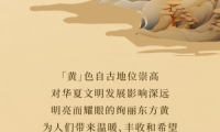美涂士藝術漆：如果色彩有溫度，最暖之黃為你守候