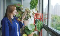 范湉湉的&ldquo;花花世界&rdquo;，藝術巖板「繁花」與冠珠韶華「南山蘆花」搭配亮了
