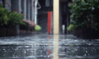 舟乘智木&middot;不染潮時丨誰說躲不開梅雨煩惱，有他們，無懼潮濕！