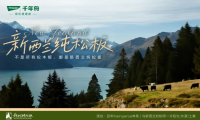 家的松弛感，從一張無(wú)需操心的「新西蘭純松板」開始