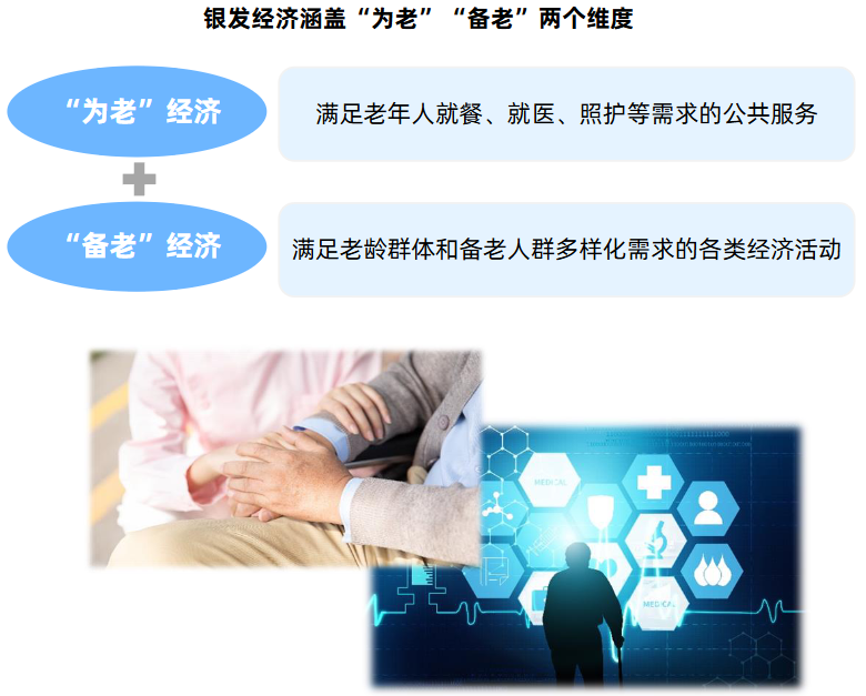 2025銀發(fā)印記研究報告3.png