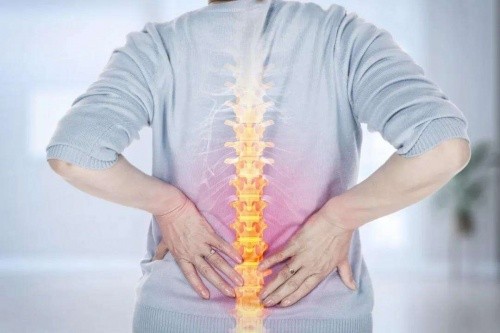 腰痛人的春天，東寶床墊呵護(hù)脊椎健康